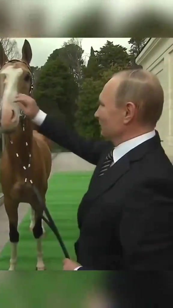 Putin, le cheval et le léopard : la fabrique TikTok d'une mythologie du pouvoir — @qadri.reminders
