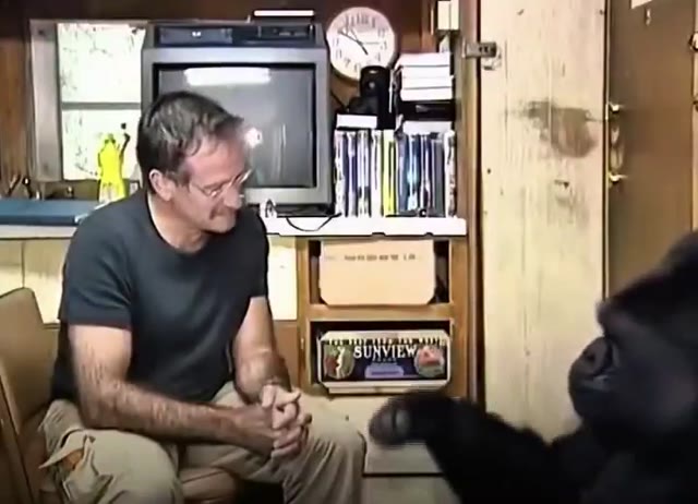 Robin Williams et Koko (2001) : le clip viral « 6 mois de deuil » — relais @ceciarmy